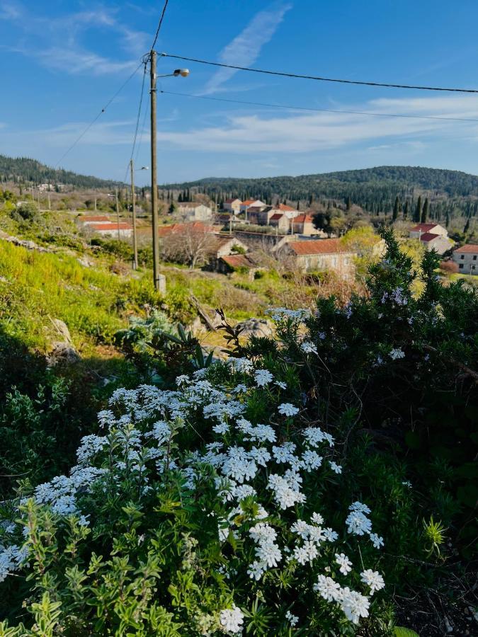 Country House Bakicevo Čilipi Zewnętrze zdjęcie